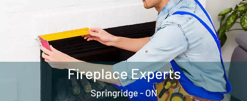 Fireplace Experts Springridge - ON