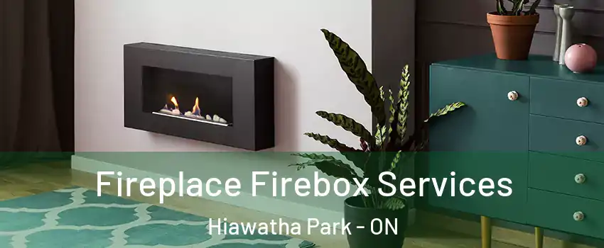  Fireplace Firebox Services Hiawatha Park - ON
