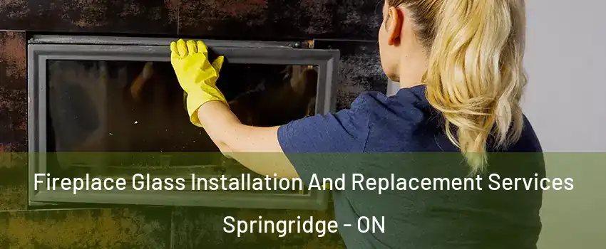  Fireplace Glass Installation And Replacement Services Springridge - ON