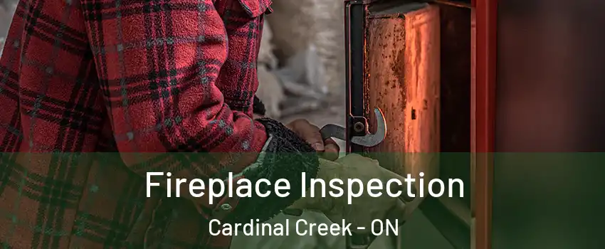  Fireplace Inspection Cardinal Creek - ON