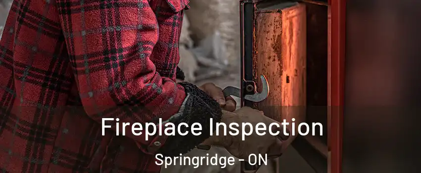  Fireplace Inspection Springridge - ON