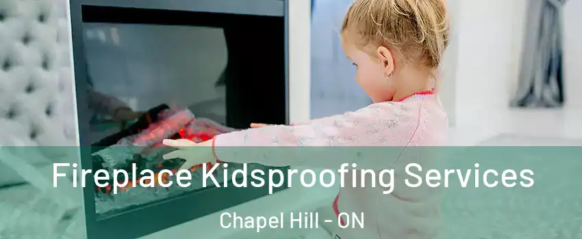  Fireplace Kidsproofing Services Chapel Hill - ON
