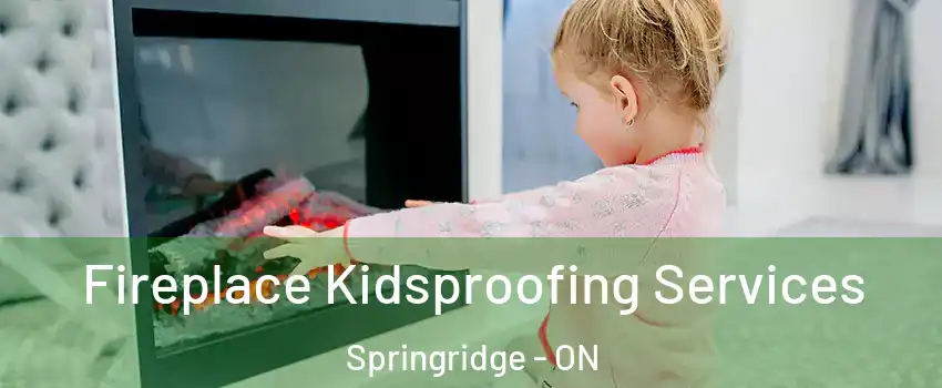  Fireplace Kidsproofing Services Springridge - ON