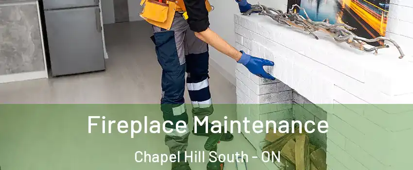  Fireplace Maintenance Chapel Hill South - ON