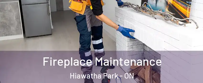 Fireplace Maintenance Hiawatha Park - ON