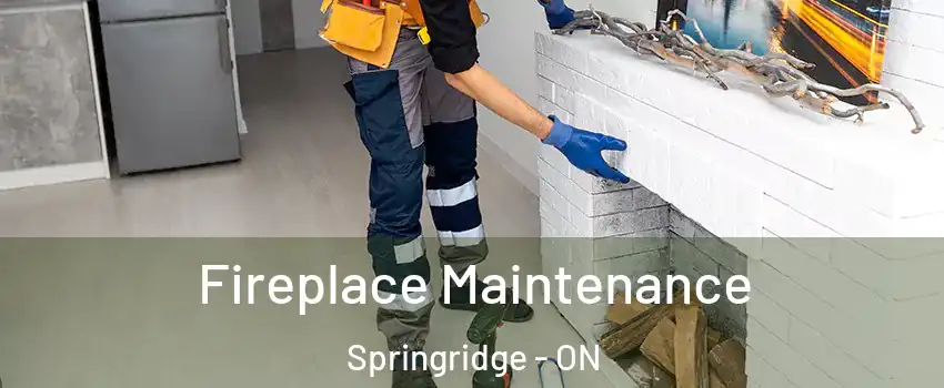 Fireplace Maintenance Springridge - ON
