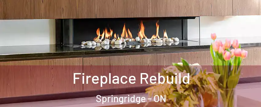  Fireplace Rebuild Springridge - ON