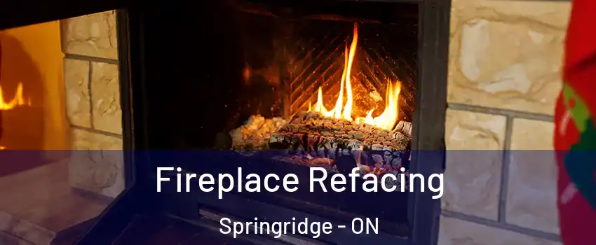  Fireplace Refacing Springridge - ON