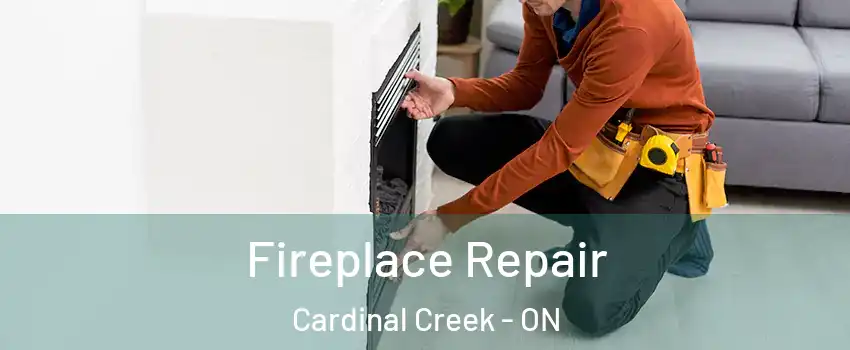  Fireplace Repair Cardinal Creek - ON