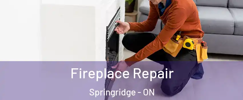  Fireplace Repair Springridge - ON