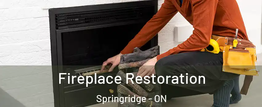  Fireplace Restoration Springridge - ON