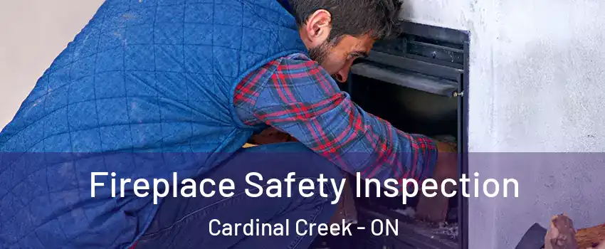 Fireplace Safety Inspection Cardinal Creek - ON