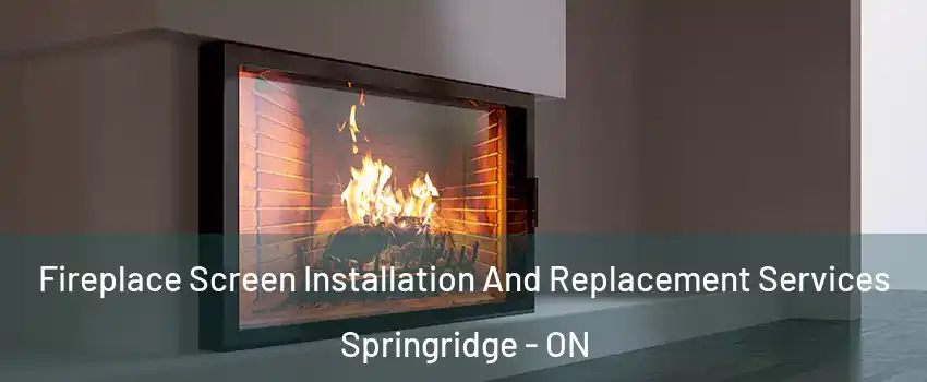 Fireplace Screen Installation And Replacement Services Springridge - ON