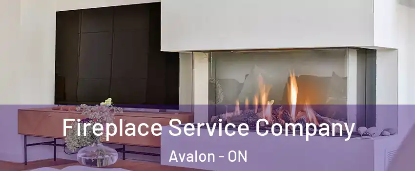  Fireplace Service Company Avalon - ON
