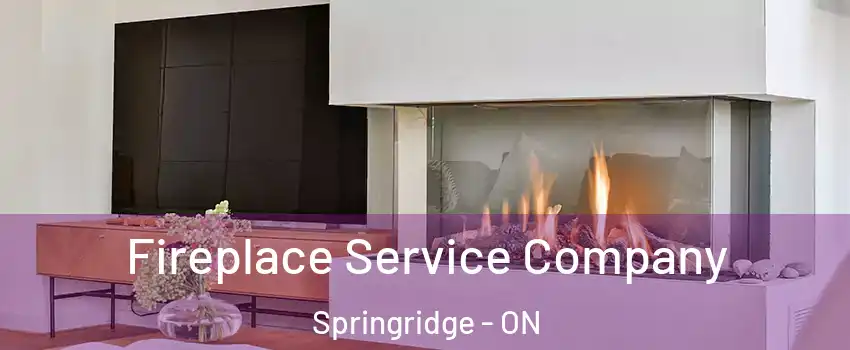  Fireplace Service Company Springridge - ON