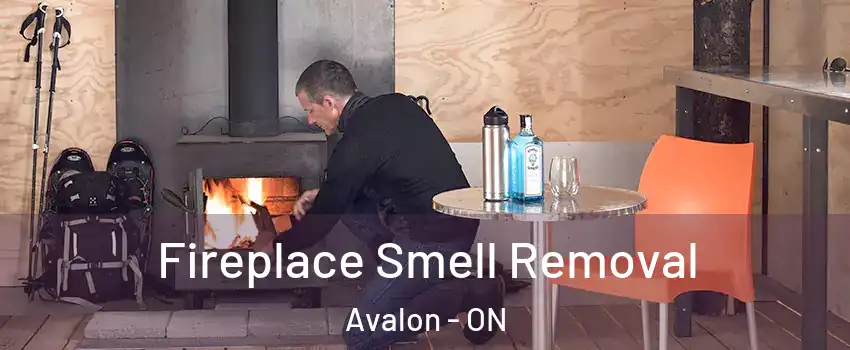  Fireplace Smell Removal Avalon - ON