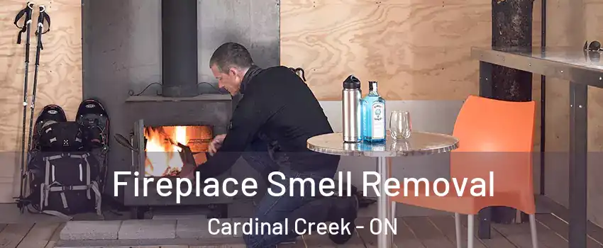  Fireplace Smell Removal Cardinal Creek - ON