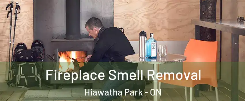  Fireplace Smell Removal Hiawatha Park - ON
