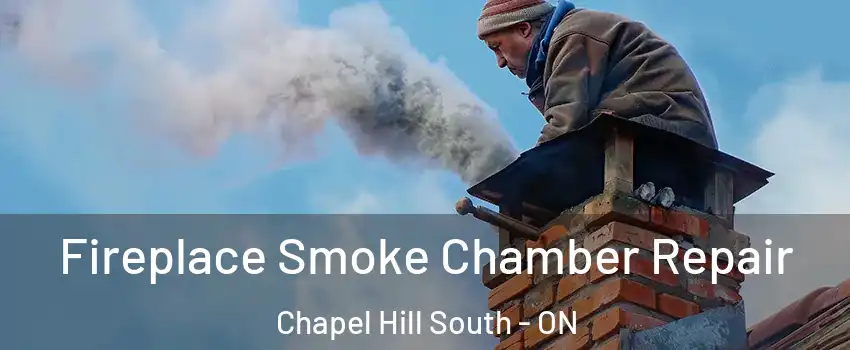  Fireplace Smoke Chamber Repair Chapel Hill South - ON