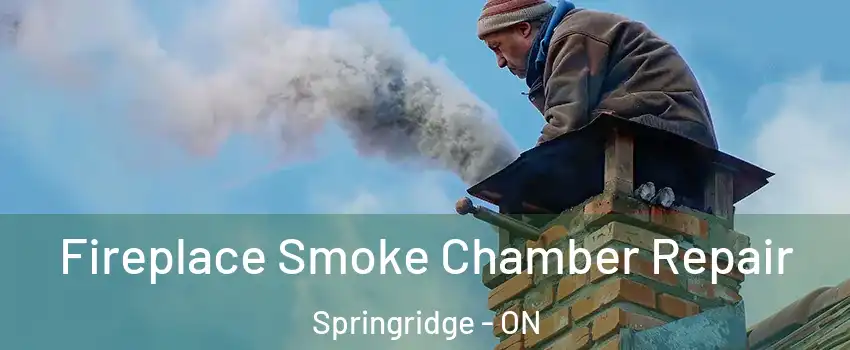 Fireplace Smoke Chamber Repair Springridge - ON