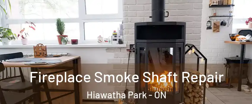  Fireplace Smoke Shaft Repair Hiawatha Park - ON