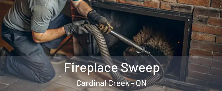  Fireplace Sweep Cardinal Creek - ON