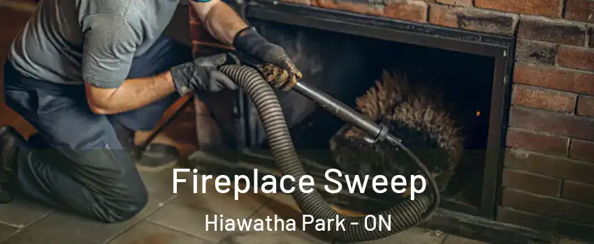  Fireplace Sweep Hiawatha Park - ON