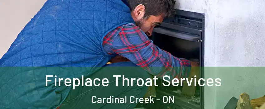  Fireplace Throat Services Cardinal Creek - ON