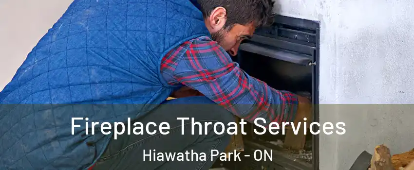  Fireplace Throat Services Hiawatha Park - ON