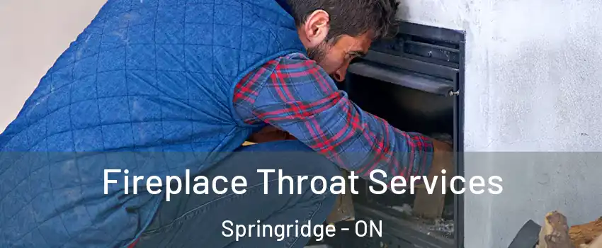  Fireplace Throat Services Springridge - ON