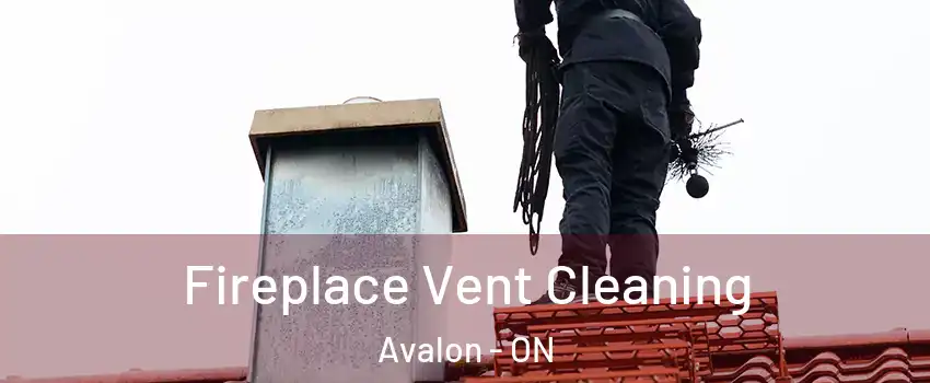  Fireplace Vent Cleaning Avalon - ON