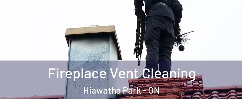  Fireplace Vent Cleaning Hiawatha Park - ON