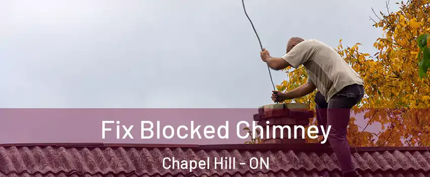  Fix Blocked Chimney Chapel Hill - ON