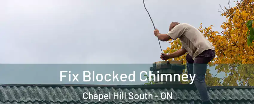  Fix Blocked Chimney Chapel Hill South - ON