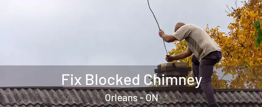  Fix Blocked Chimney Orleans - ON