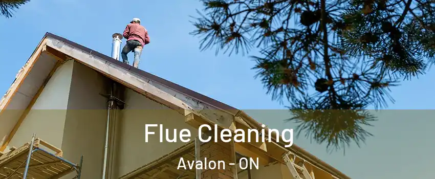 Flue Cleaning Avalon - ON