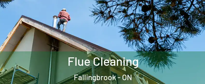  Flue Cleaning Fallingbrook - ON