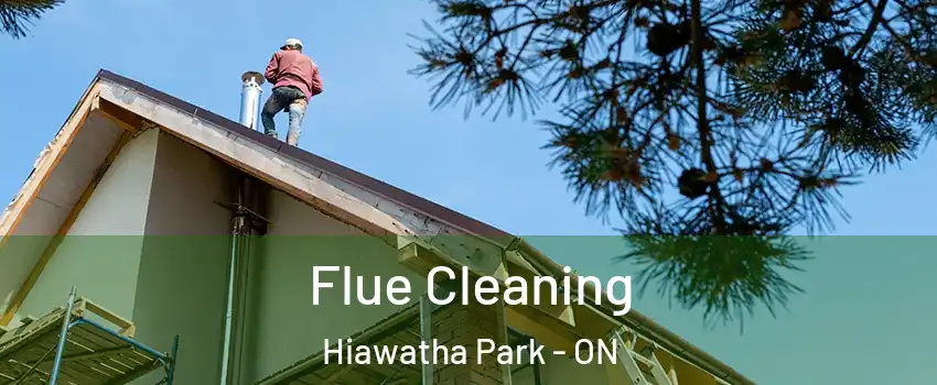  Flue Cleaning Hiawatha Park - ON