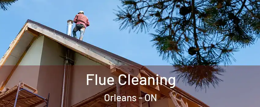 Flue Cleaning Orleans - ON