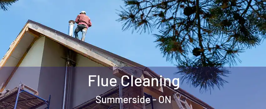  Flue Cleaning Summerside - ON