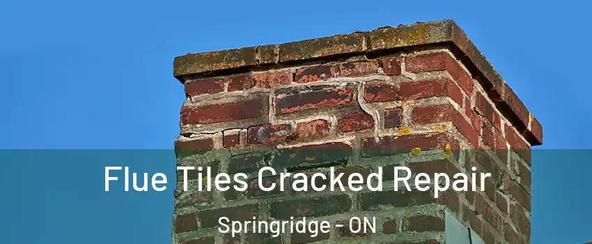  Flue Tiles Cracked Repair Springridge - ON
