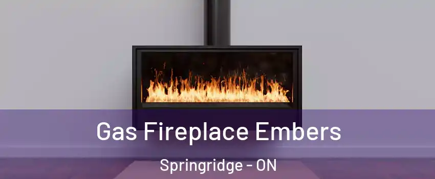  Gas Fireplace Embers Springridge - ON