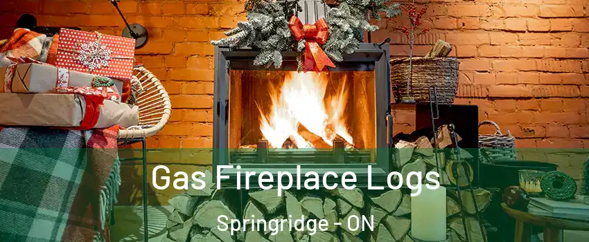  Gas Fireplace Logs Springridge - ON
