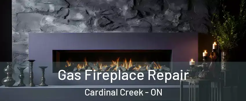 Gas Fireplace Repair Cardinal Creek - ON