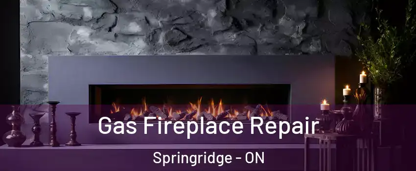 Gas Fireplace Repair Springridge - ON
