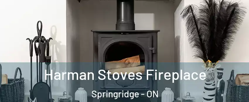  Harman Stoves Fireplace Springridge - ON