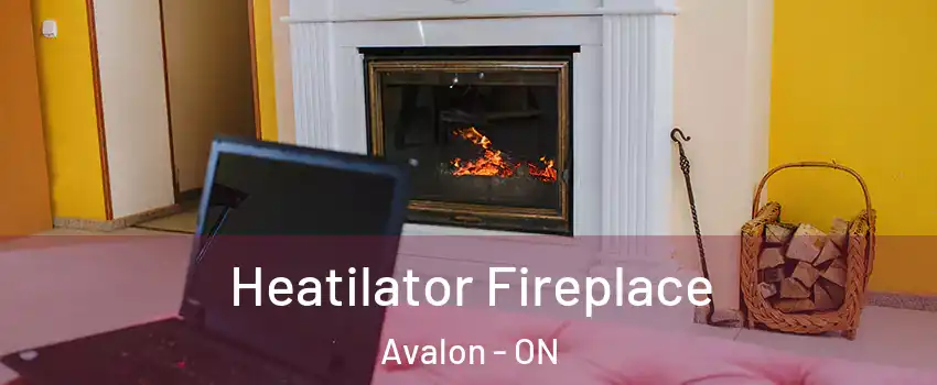  Heatilator Fireplace Avalon - ON