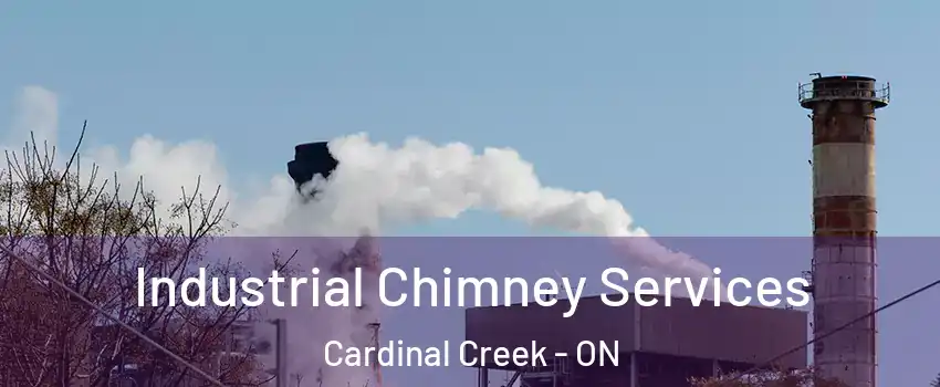  Industrial Chimney Services Cardinal Creek - ON