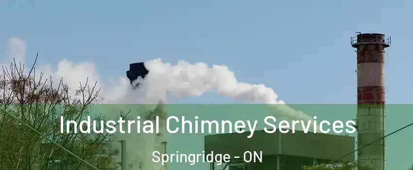  Industrial Chimney Services Springridge - ON