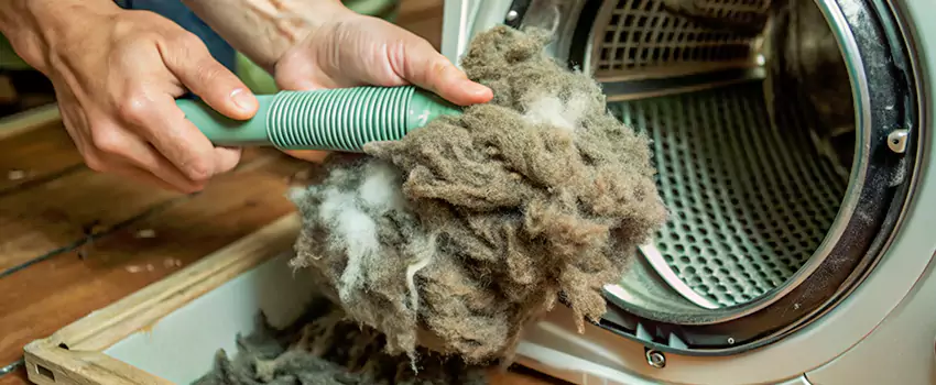 Best Dryer Lint Removal Company in Orleans, Ontario